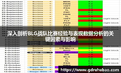 深入剖析BLG战队比赛经验与表现数据分析的关键因素与影响