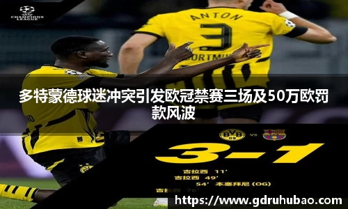 多特蒙德球迷冲突引发欧冠禁赛三场及50万欧罚款风波